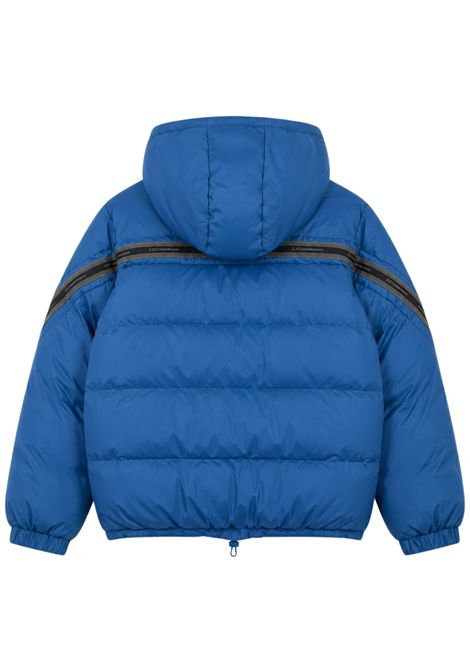 Blue padded children's jacket EMPORIO ARMANI | 7B000376BLU